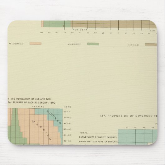 32夫婦の状態、1890年離婚 マウスパッド (正面)