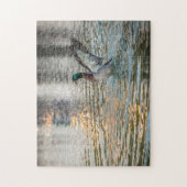 3274 – 男性のマラードの池への飛び込みパズル ジグソーパズル (縦)