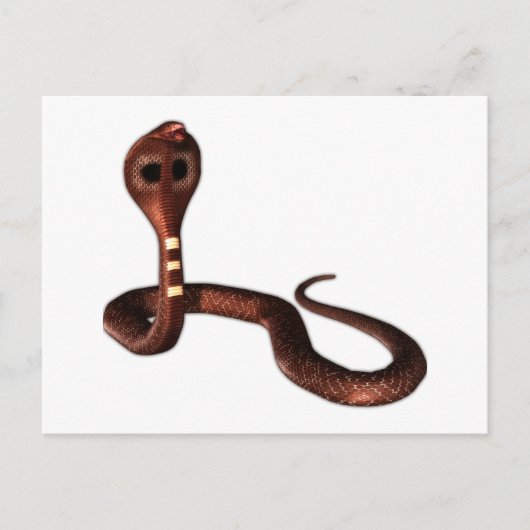 32.コブラの死に至るヘビ ポストカード (正面)