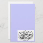 32.短い顔のタンブラー・ハト 便箋 (正面/裏面)