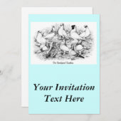 32.短い顔のタンブラー・ハト 招待状 (正面/裏面)