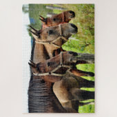 3300アミーゴスの馬の友人 ジグソーパズル (縦)