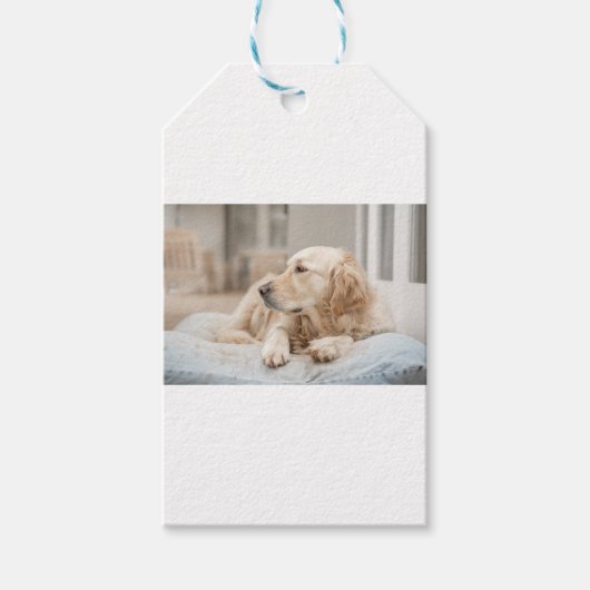 34137641_xxl ギフトタグ (正面)