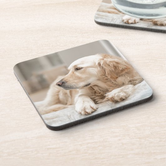 34137641_xxl コースター (左側)