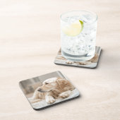 34137641_xxl コースター (右側)