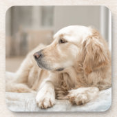 34137641_xxl コースター (正面)