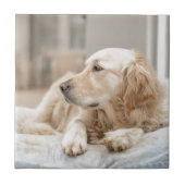 34137641_xxl タイル (正面)