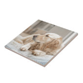 34137641_xxl タイル (側面)