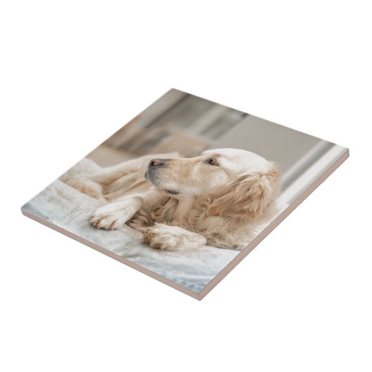 34137641_xxl タイル (側面)