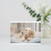 34137641_xxl ポストカード (スタンド正面)