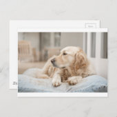 34137641_xxl ポストカード (正面/裏面)