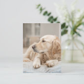 34137641_xxl ポストカード (スタンド正面)