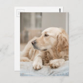 34137641_xxl ポストカード (正面/裏面)