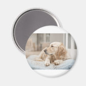 34137641_xxl マグネット (正面/裏面)