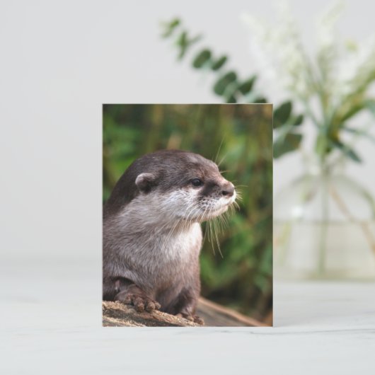 342ポット ポストカード (スタンド正面)