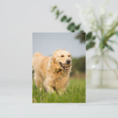 34520685_xxl ポストカード (スタンド正面)