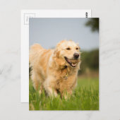 34520685_xxl ポストカード (正面/裏面)