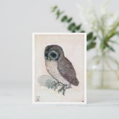 34.小フクロウ、アルブレヒト・ダラー ポストカード (スタンド正面)