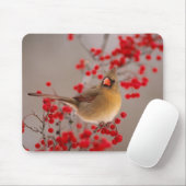 350 マウスパッド (マウス)