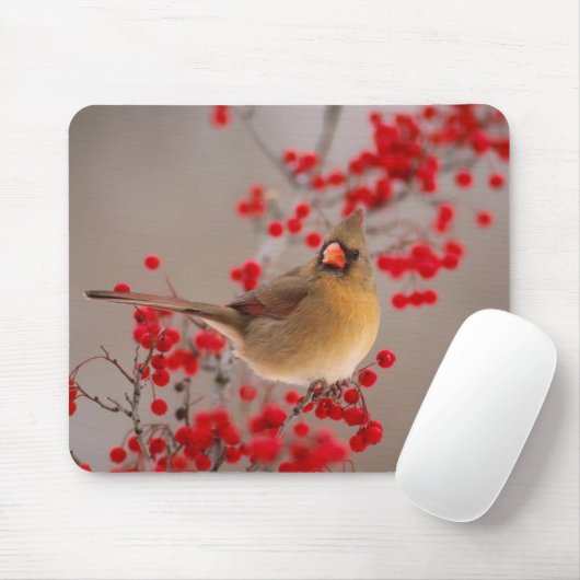 350 マウスパッド (マウス)