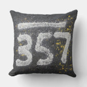 357 Mason's and Angel Number クッション (正面)