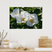 36インチx24インチ日本のバラ ポスター (キッチン)