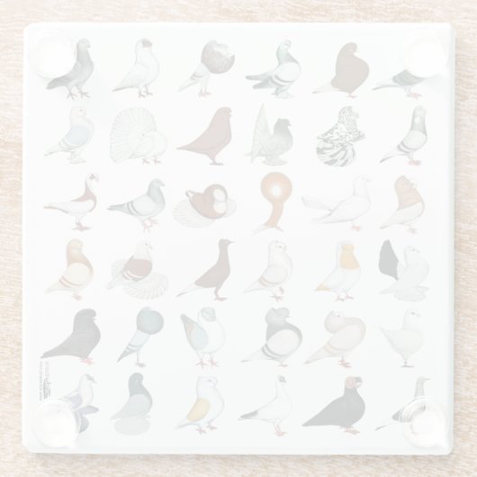 36ハト ガラスコースター (裏面)