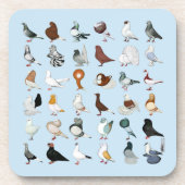 36ハト コースター (正面)