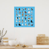 36ハト ポスター (キッチン)