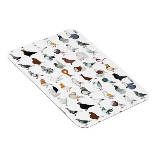 36ハト マグネット (右側)