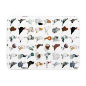 36ハト マグネット (横)