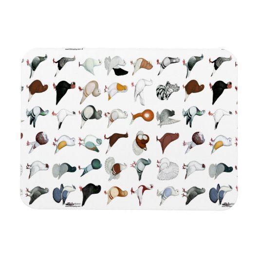 36ハト マグネット (横)