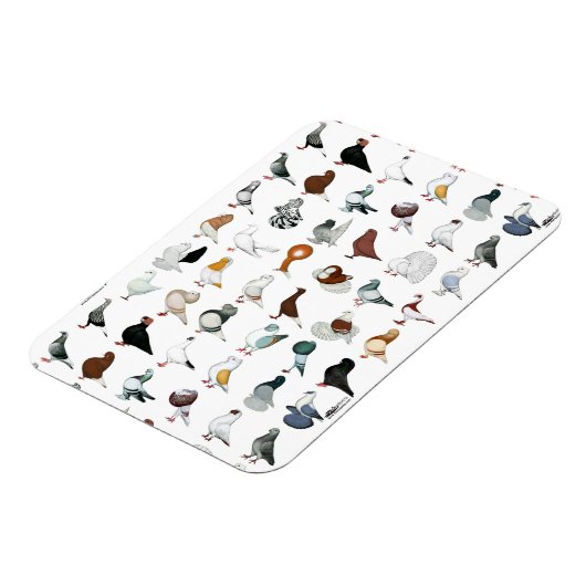 36ハト マグネット (左側)