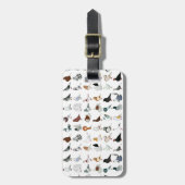 36匹のハト品種 ラゲッジタグ (正面縦)