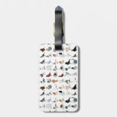 36匹のハト品種 ラゲッジタグ (裏面縦)