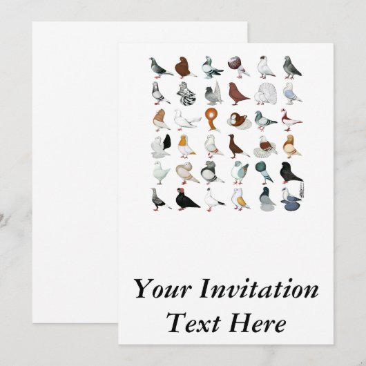 36匹のハト品種 招待状 (正面/裏面)