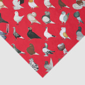 36匹のハト品種 薄葉紙 (詳細)