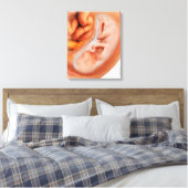 36週間の胎児の発生 キャンバスプリント (インサイチュ (寝室))