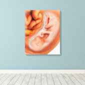 36週間の胎児の発生 キャンバスプリント (インサイチュ (ウッドフロア))