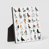 36鳩種 フォトプラーク (正面)