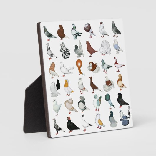 36鳩種 フォトプラーク (正面)