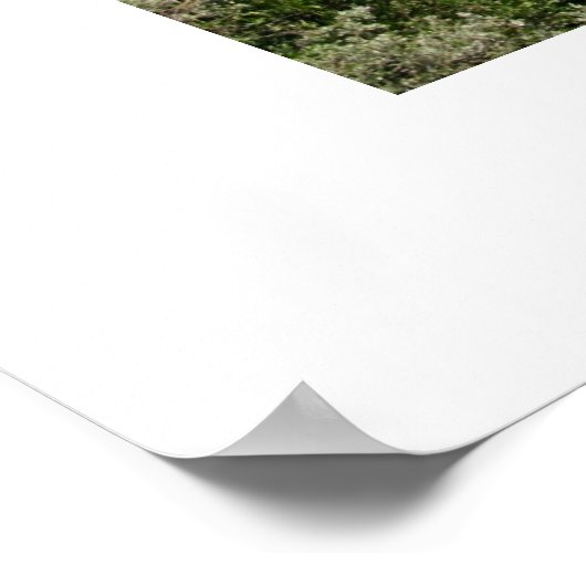 360ブリッジ ポスター (角)