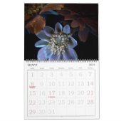 365NM UV光花写真カレンダー カレンダー (3月 2026)