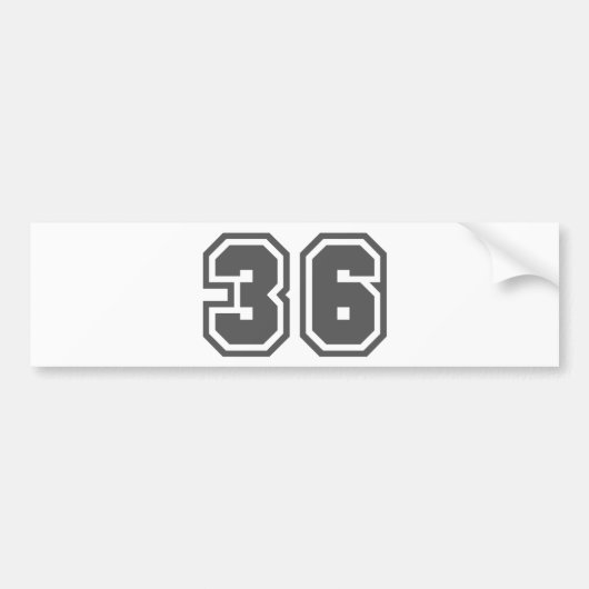 36 バンパーステッカー (正面)