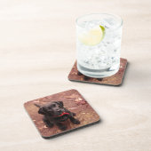 36 1週間目の黒い実験室 コースター (右側)