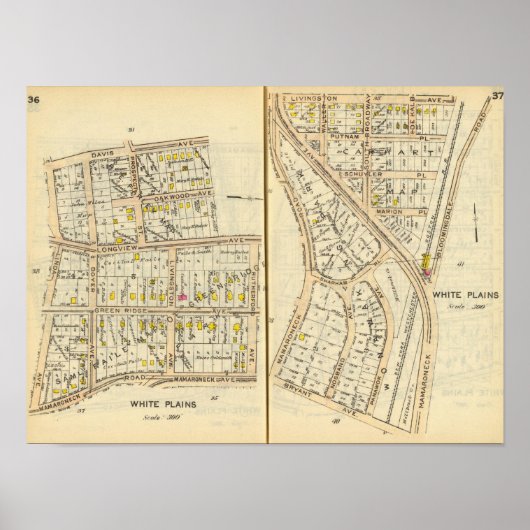 36-37白い平野 ポスター (正面)