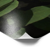 36"x24"ツリー牡丹 フォトプリント            (角)