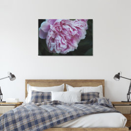 36"x24" ピンクの芍薬 キャンバスプリント