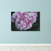 36"x24" ピンクの芍薬 キャンバスプリント (インサイチュ (ウッドフロア))