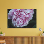 36"x24" ピンクの芍薬 キャンバスプリント (インサイチュ (リビング))